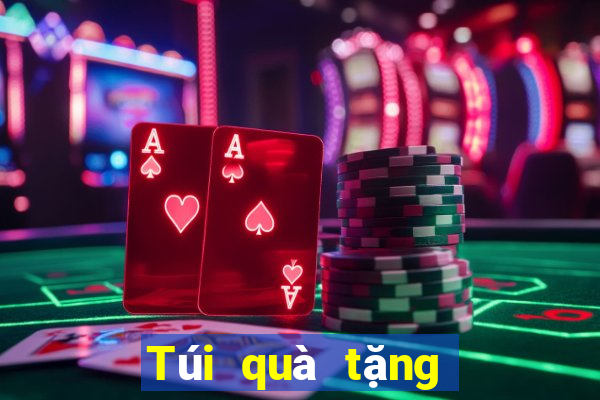 Túi quà tặng Bắn cá King