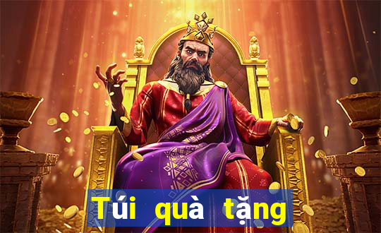 Túi quà tặng Bắn cá King