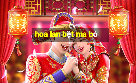 hoa lan bệt ma bó