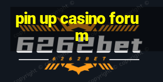 pin up casino forum