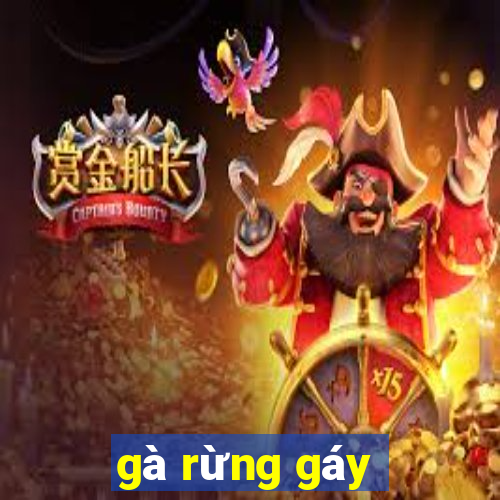 gà rừng gáy