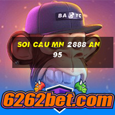 soi cau mn 2888 an 95