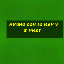 nhung con lo hay ve nhat