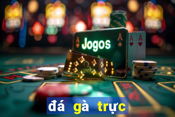 đá gà trực tiếp casino 999