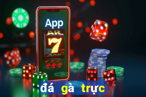 đá gà trực tiếp casino 999