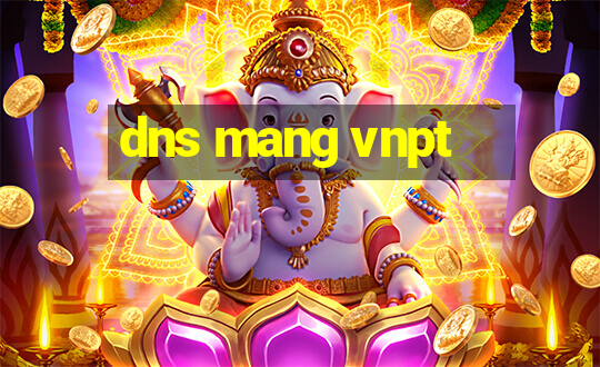 dns mang vnpt