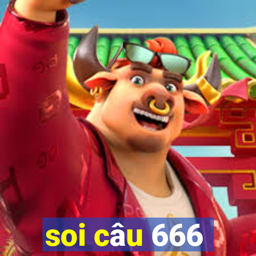 soi câu 666