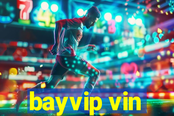 bayvip vin