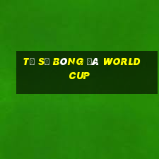 Tỷ số bóng đá World Cup