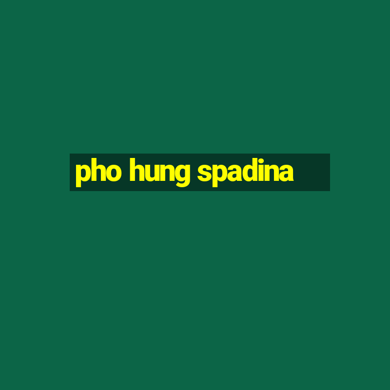 pho hung spadina