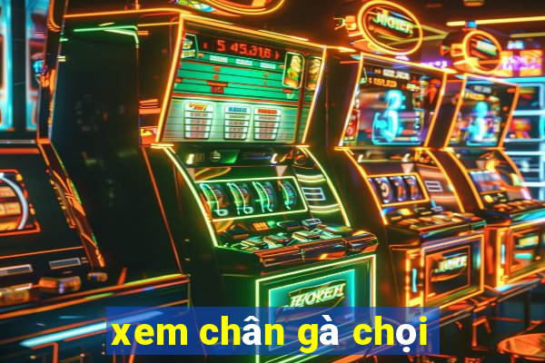 xem chân gà chọi