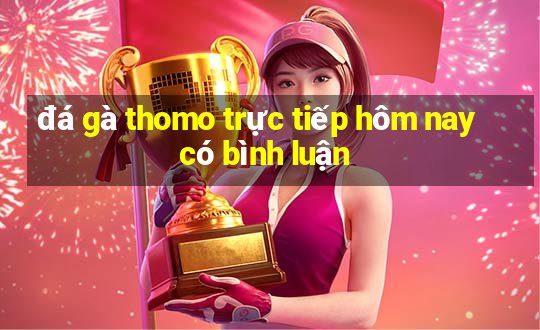 đá gà thomo trực tiếp hôm nay có bình luận