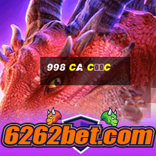 998 cá cược