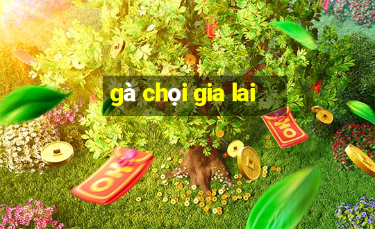 gà chọi gia lai