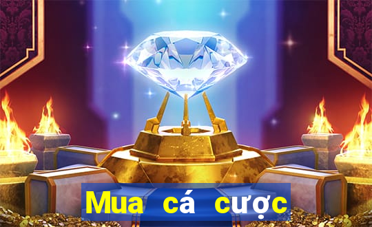 Mua cá cược bóng đá