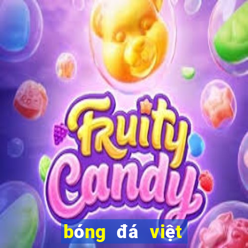 bóng đá việt nam 2016