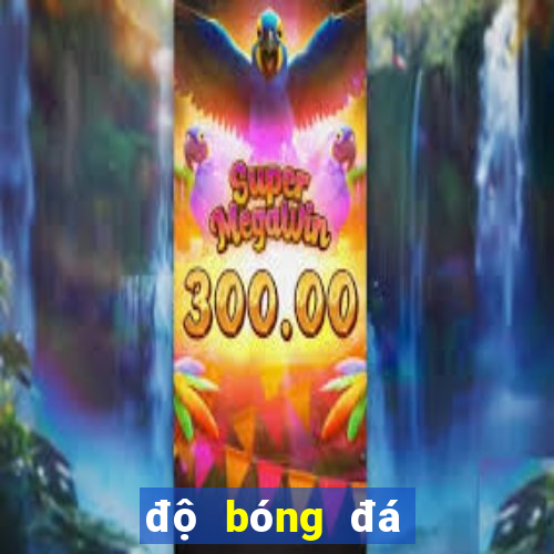 độ bóng đá hôm nay