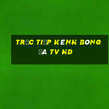 trực tiếp kênh bóng đá tv hd