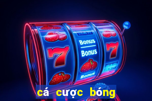 cá cược bóng đá nhà cái