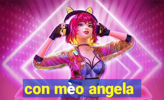 con mèo angela