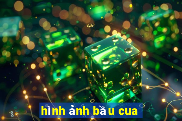 hình ảnh bầu cua