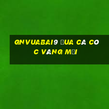 gnVuabai9 Đua Cá Cóc Vàng Mới