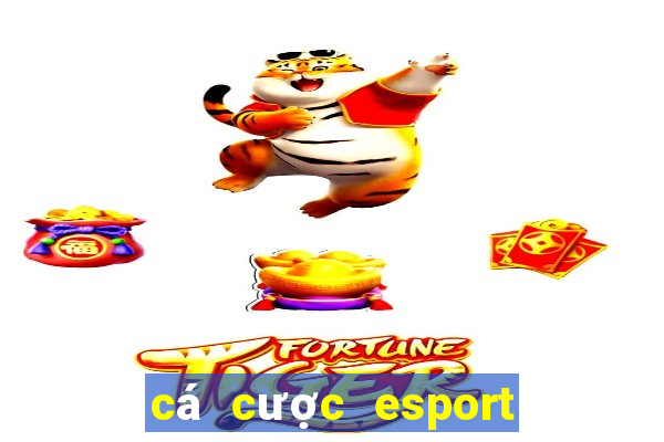 cá cược esport liên quân