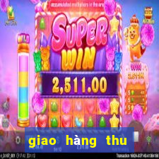 giao hàng thu tiền - ghtt