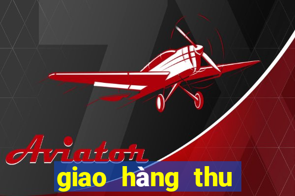 giao hàng thu tiền - ghtt