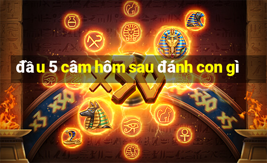 đầu 5 câm hôm sau đánh con gì