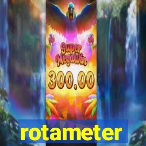 rotameter