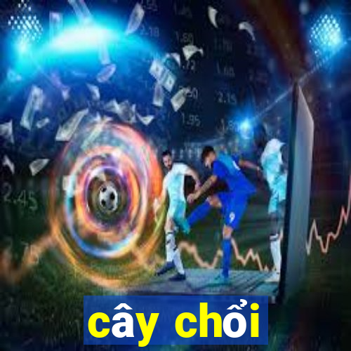 cây chổi