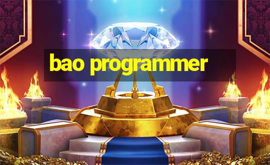 bao programmer