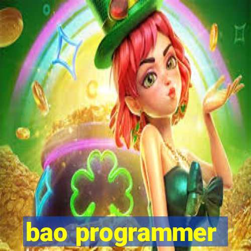 bao programmer