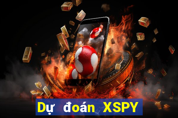 Dự đoán XSPY ngày 11