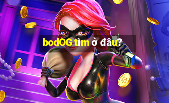 bodOG tìm ở đâu?