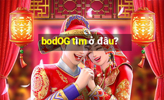 bodOG tìm ở đâu?