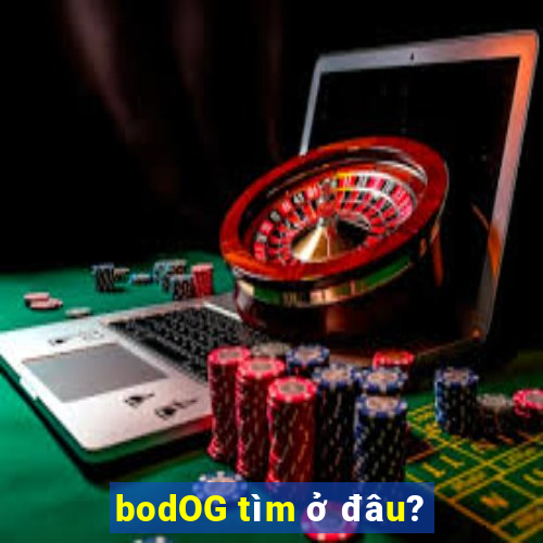 bodOG tìm ở đâu?