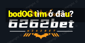 bodOG tìm ở đâu?