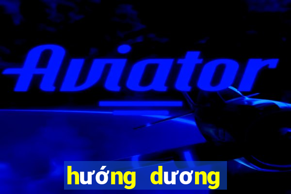 hướng dương ngược nắng