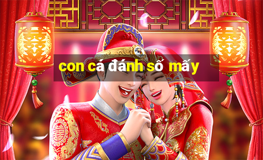 con cá đánh số mấy