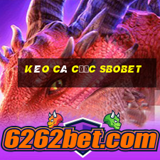 kèo cá cược sbobet