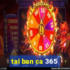 tai ban ca 365