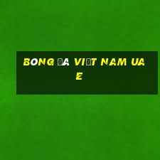 bóng đá việt nam uae