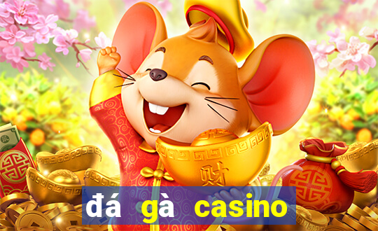 đá gà casino mới nhất hôm nay