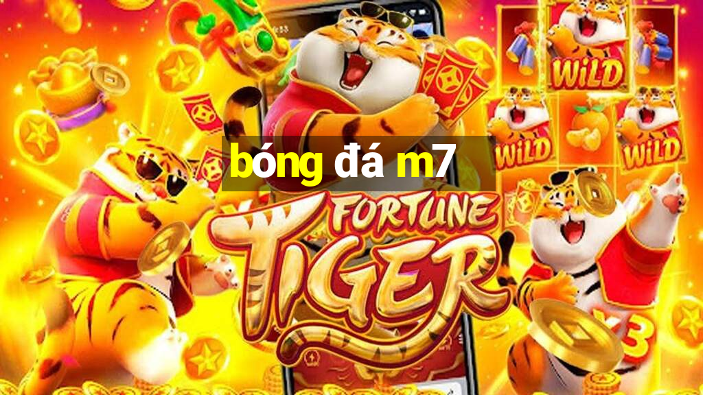 bóng đá m7