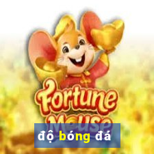 độ bóng đá