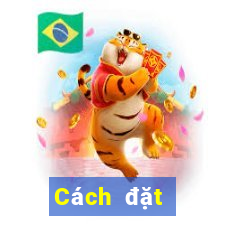 Cách đặt cược XSTTH Thứ 5