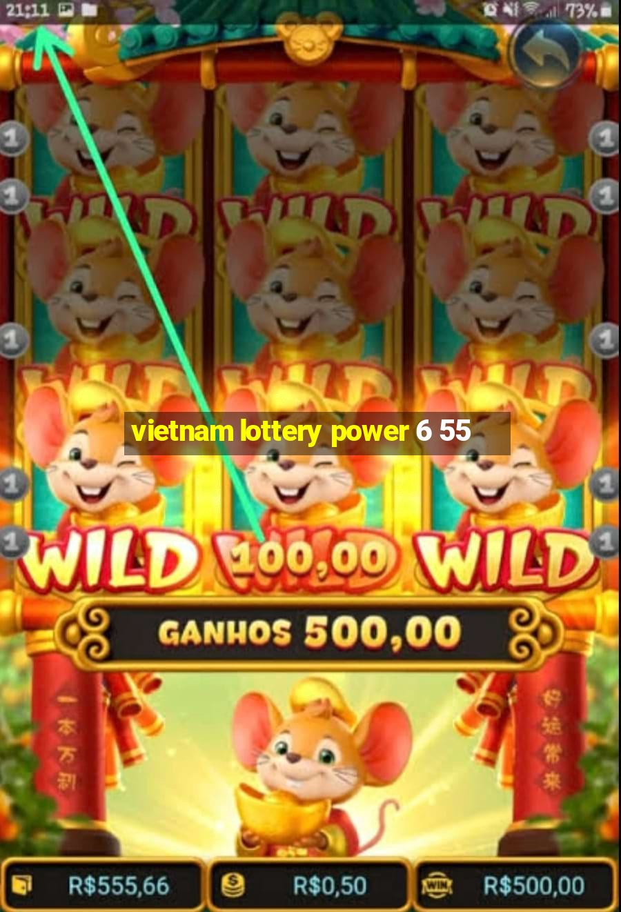 vietnam lottery power 6 55