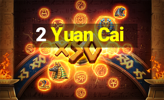 2 Yuan Cai